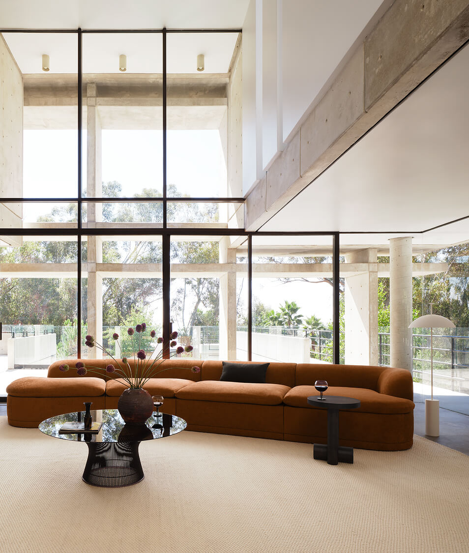 Explore the Collection